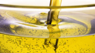 Soldebre arranca la campanya de l’oli amb la previsió de recollir entre 10 i 12 Mkg d’olives